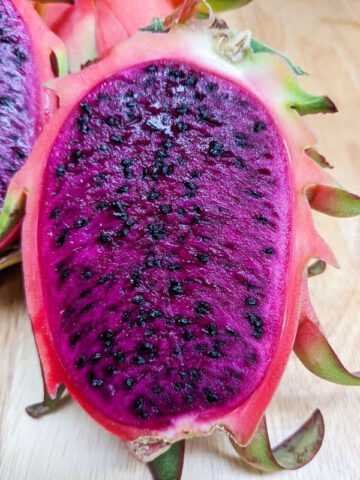 Alternative view of Costa Rican Cebra Dragon Fruit Cactus (hylocereus polyrhizus)