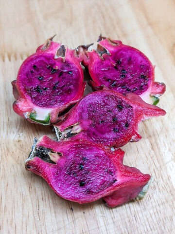 Neon Dragon Fruit Cactus (hylocereus polyrhizus)