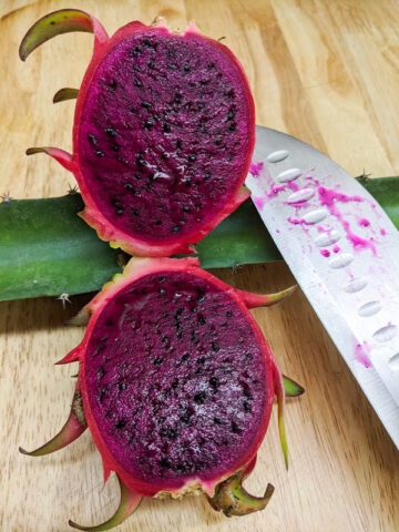 Alternative view of Orejona Dragon Fruit Cactus (hylocereus polyrhizus)