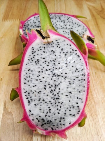 Maui Dragon Fruit Cactus (hylocereus undetus)