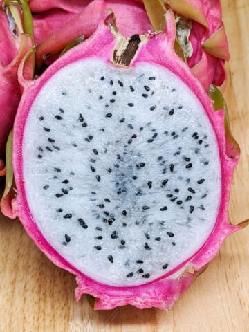 Alternative view of Thai White Dragon Fruit Cactus (hylocereus undetus)