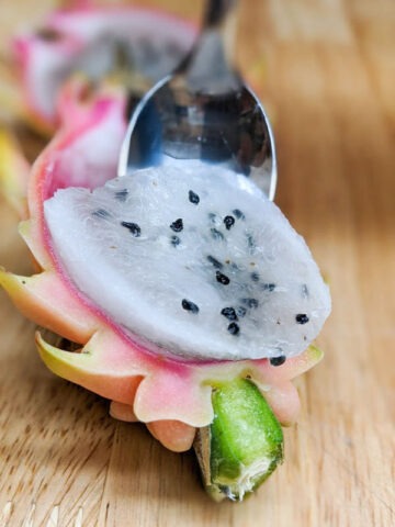 Yellow Tail Thai Dragon Fruit Cactus (hylocereus undetus X megalanthus)