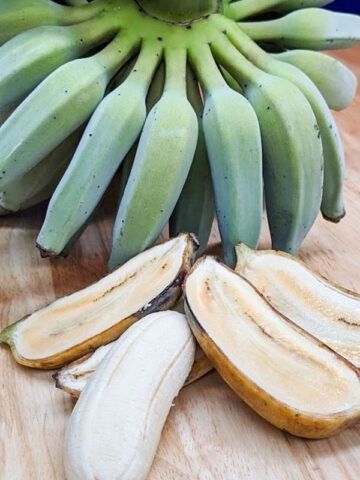 Alternative view of XXL Dwarf Namwah Blue Bird Banana Tree (variegated dna)