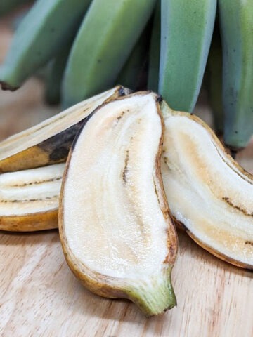 XXL Dwarf Namwah Blue Bird Banana Tree (variegated dna)