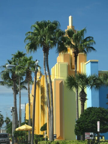 Alternative view of Lg. Venice Beach Fan Palm Tree (washingtonia robusta)