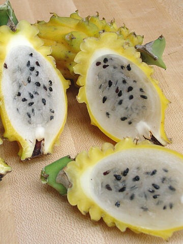 Sweet Yellow Dragon Fruit Cactus (selenicereus megalanthus)